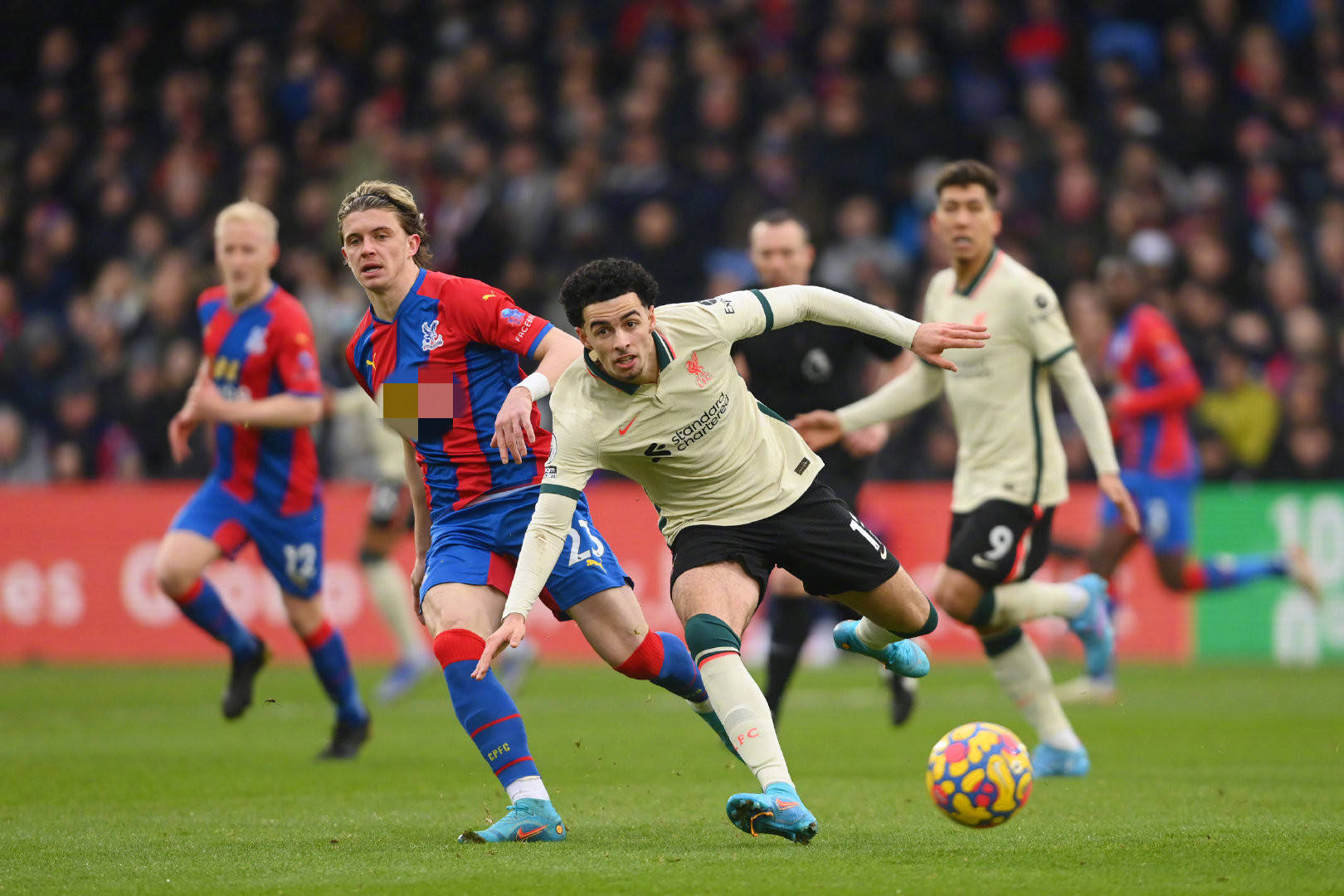 术布置也值 术布置也值