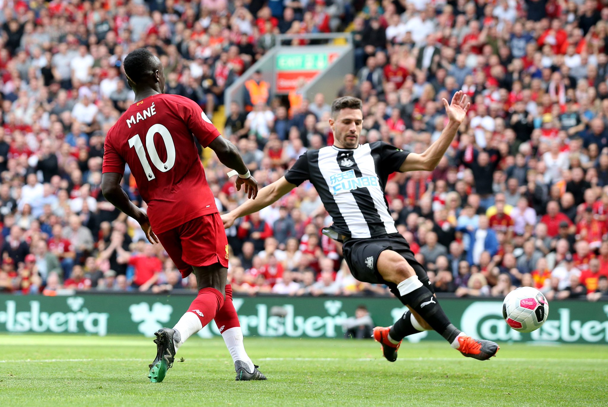 坛的佼佼者 坛的佼佼者