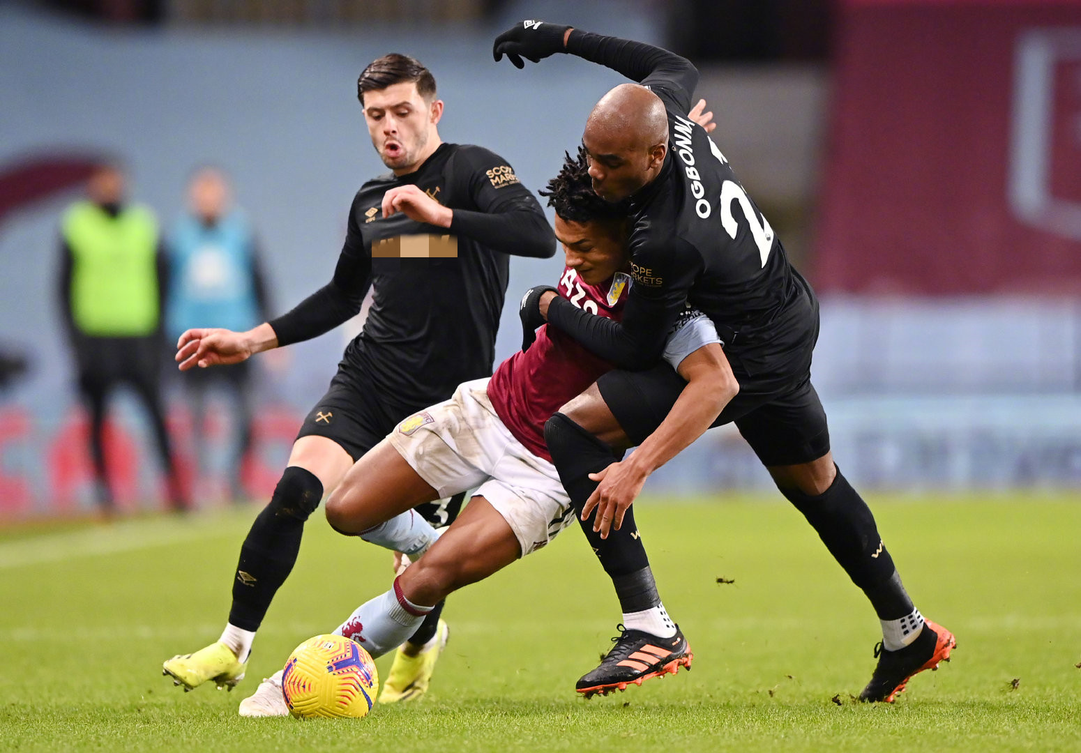 这是大鲨鱼 这是大鲨鱼